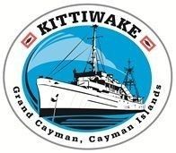 Kittiwake