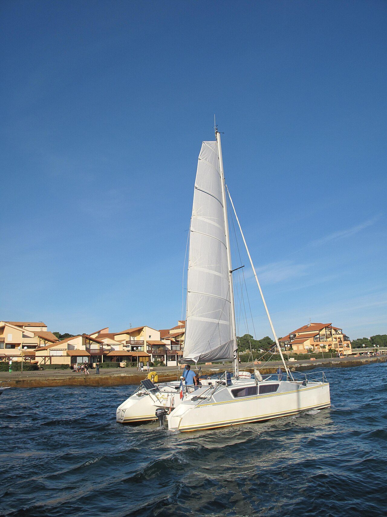 Catamarán: qué es, ventajas y diferencias con un monocasco