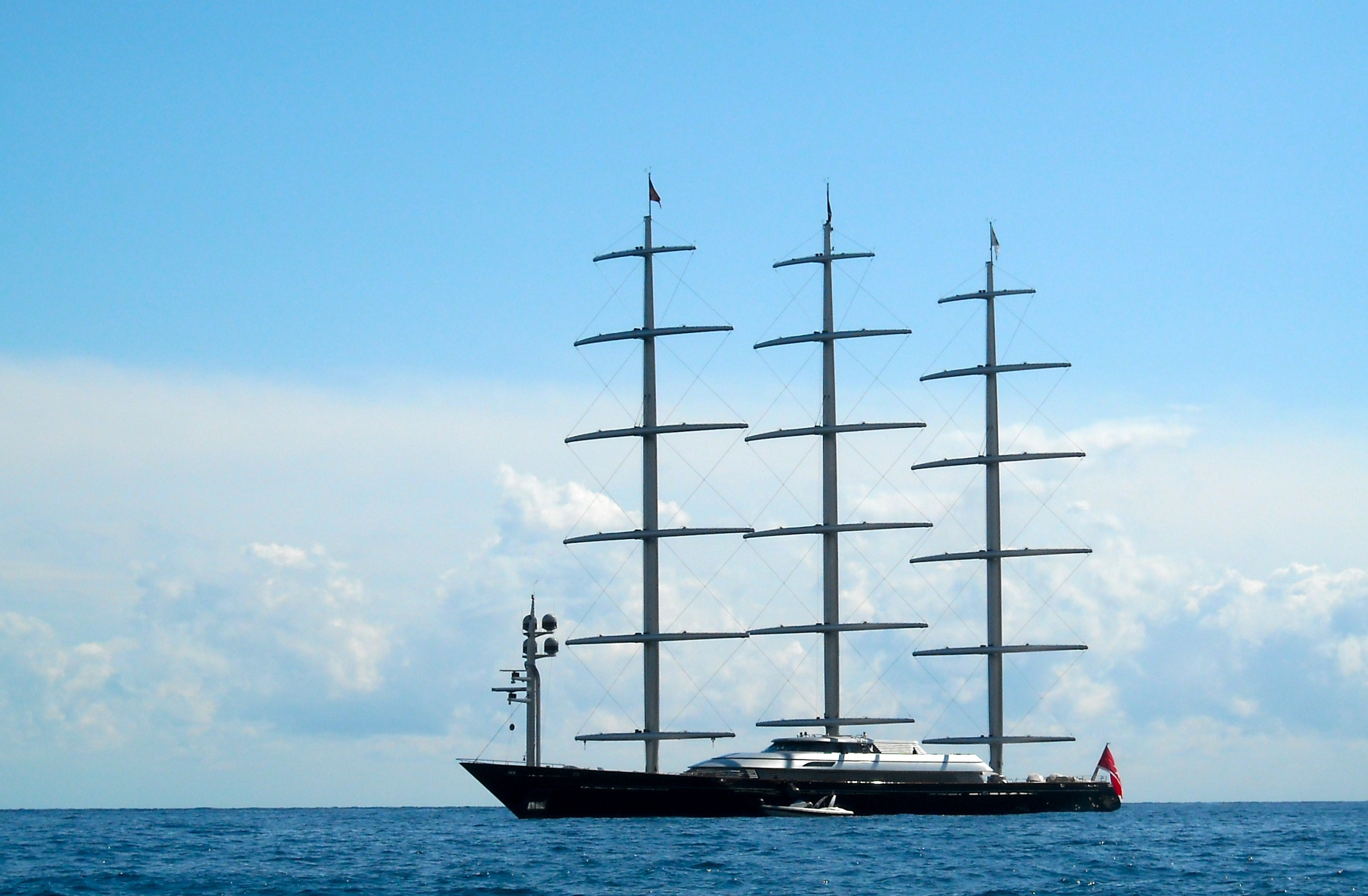 Maltese Falcon