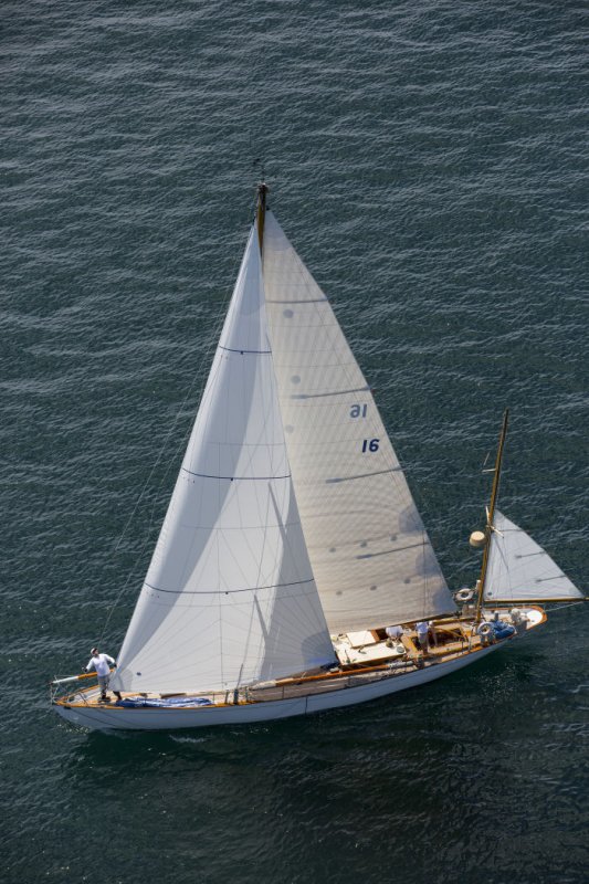 Dorade