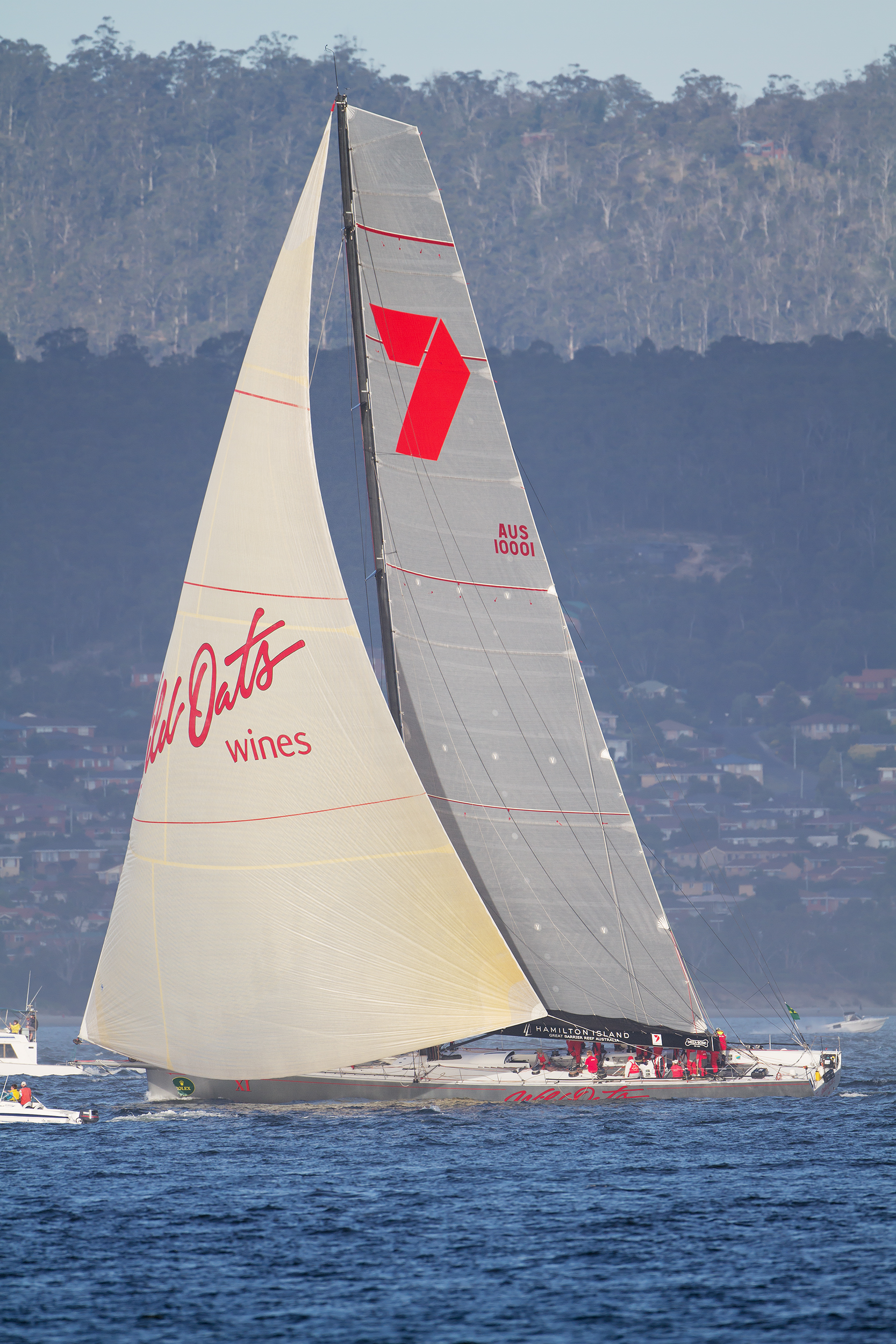 Wild Oats XI