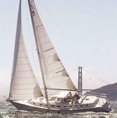 Catalina Morgan 45