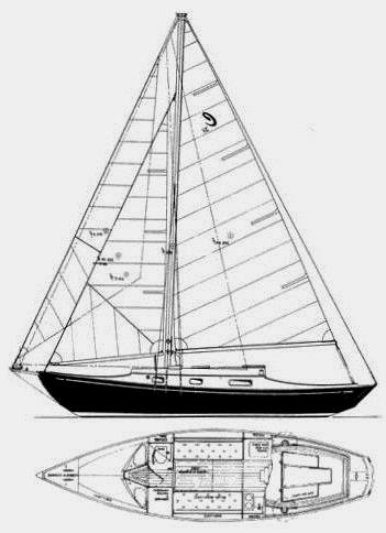 Continental 31