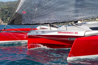 Dragonfly 25