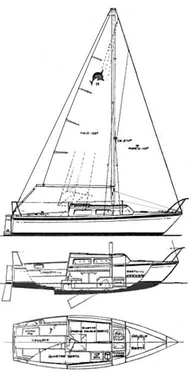 Helms Dolphin 25