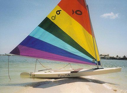 Island Packet Big Fish