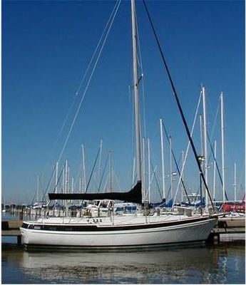 Morgan West Indies 38