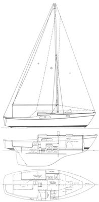 Pearson Lark 24