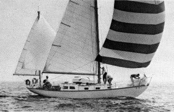 Pearson Rhodes 41
