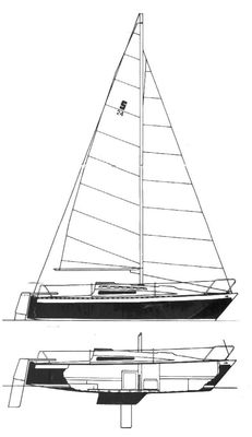 Seidelmann 24