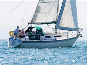 Westerly Regatta 290