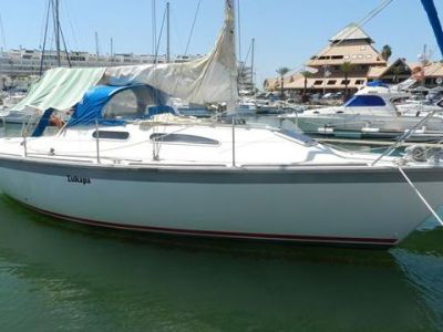 Westerly Regatta 310