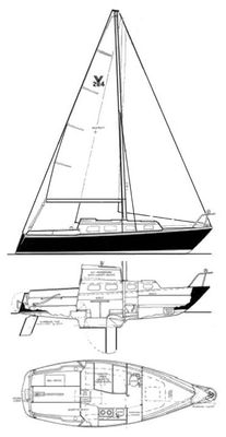 Seahorse 24
