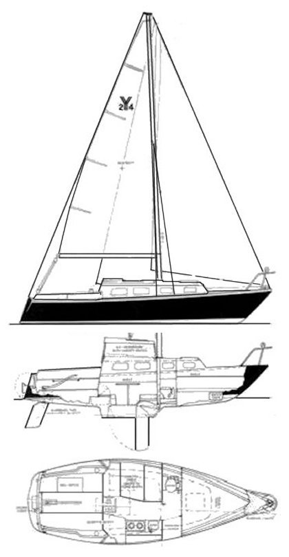 Seahorse 24