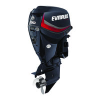Evinrude E-TEC 200