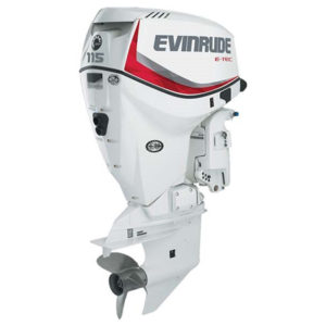 Evinrude E-TEC 25