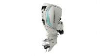 Evinrude E-TEC G2 175