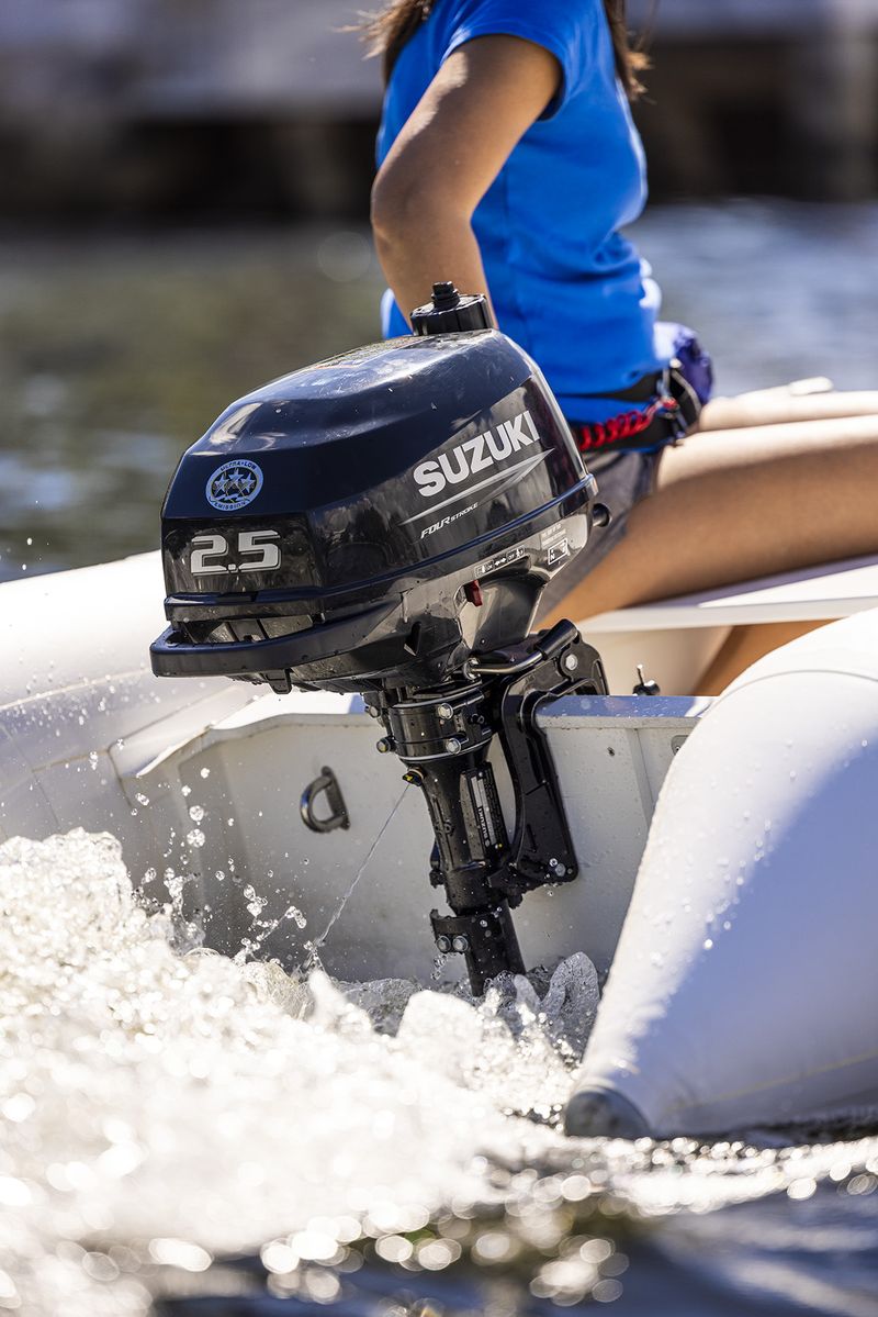 Suzuki Marine DF2.5S